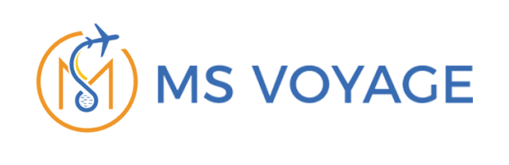 MS logo