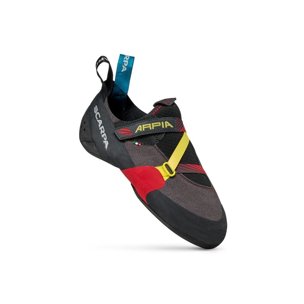 shoe