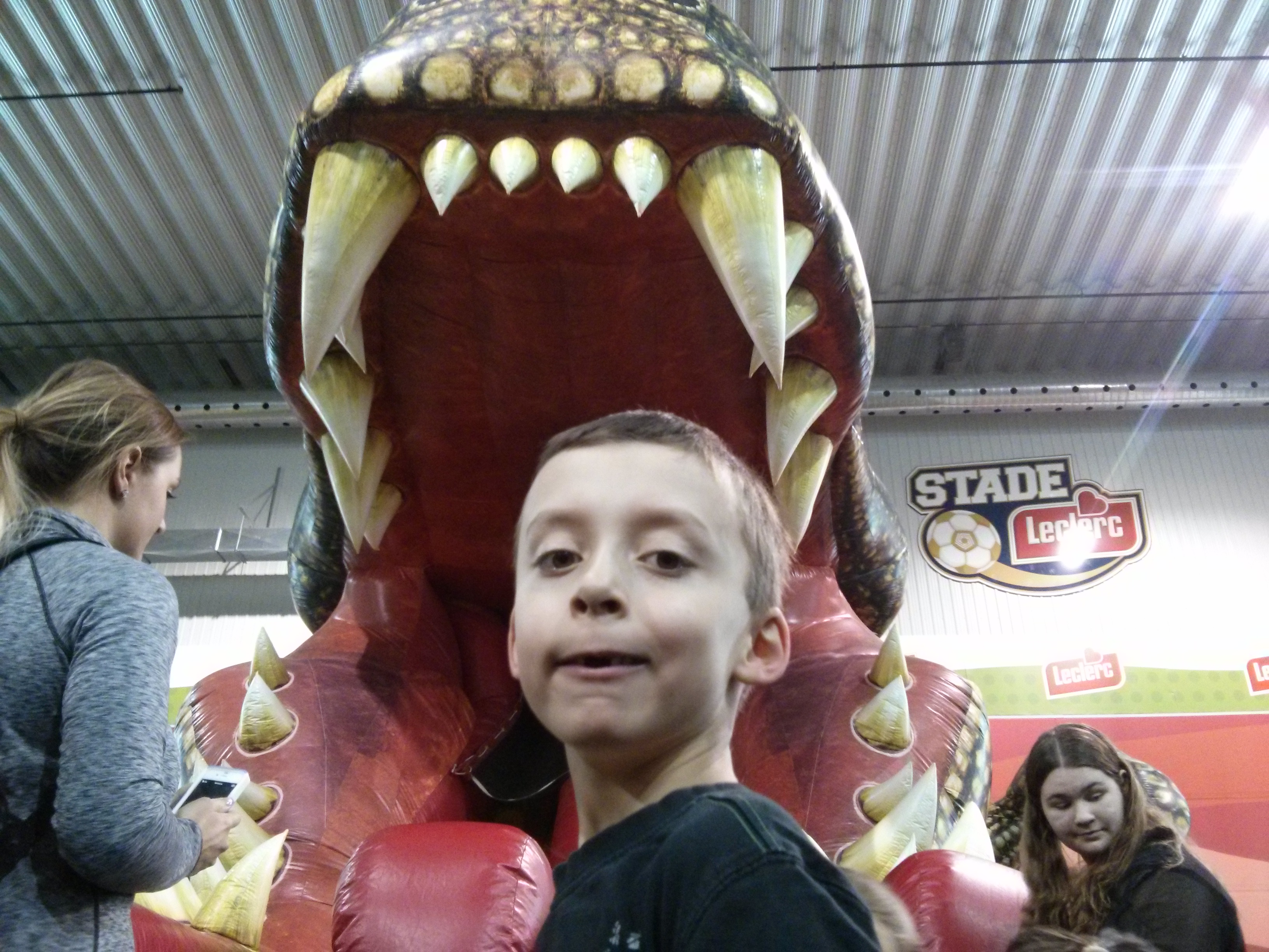 imageAnimal8.jpg